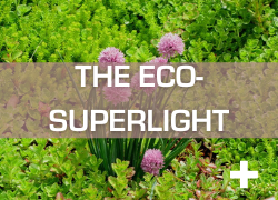 Eco-superlight green roof by Bioroof