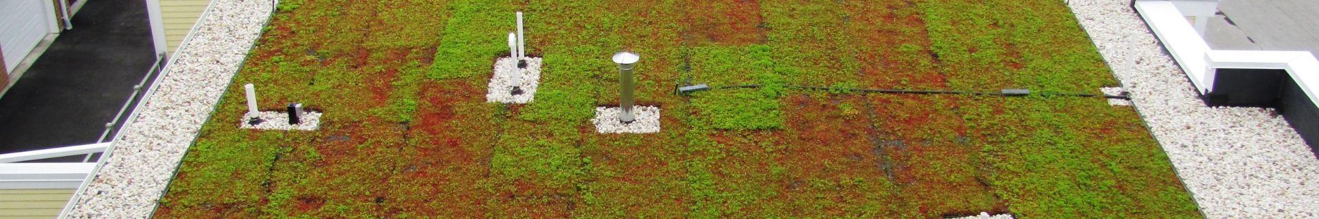 Xeroflor Green Roofs