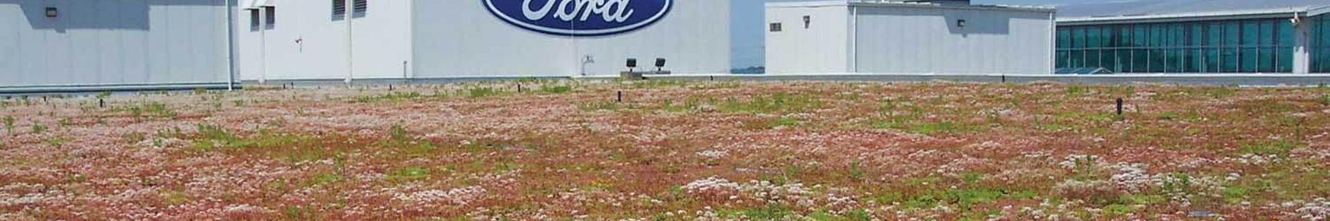 Xeroflor Green Roofs